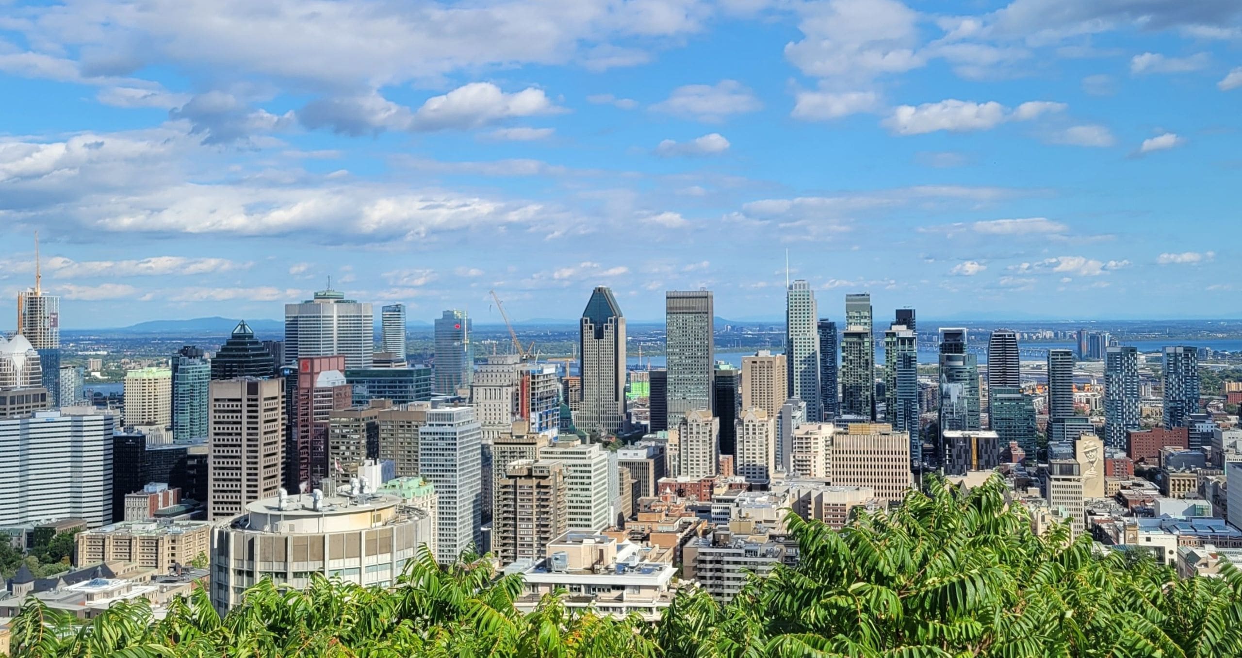 L’immobilier L’immobilier L'immobilier